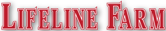 Lifeline